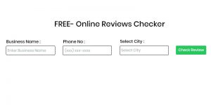 Google Review Checker Tool