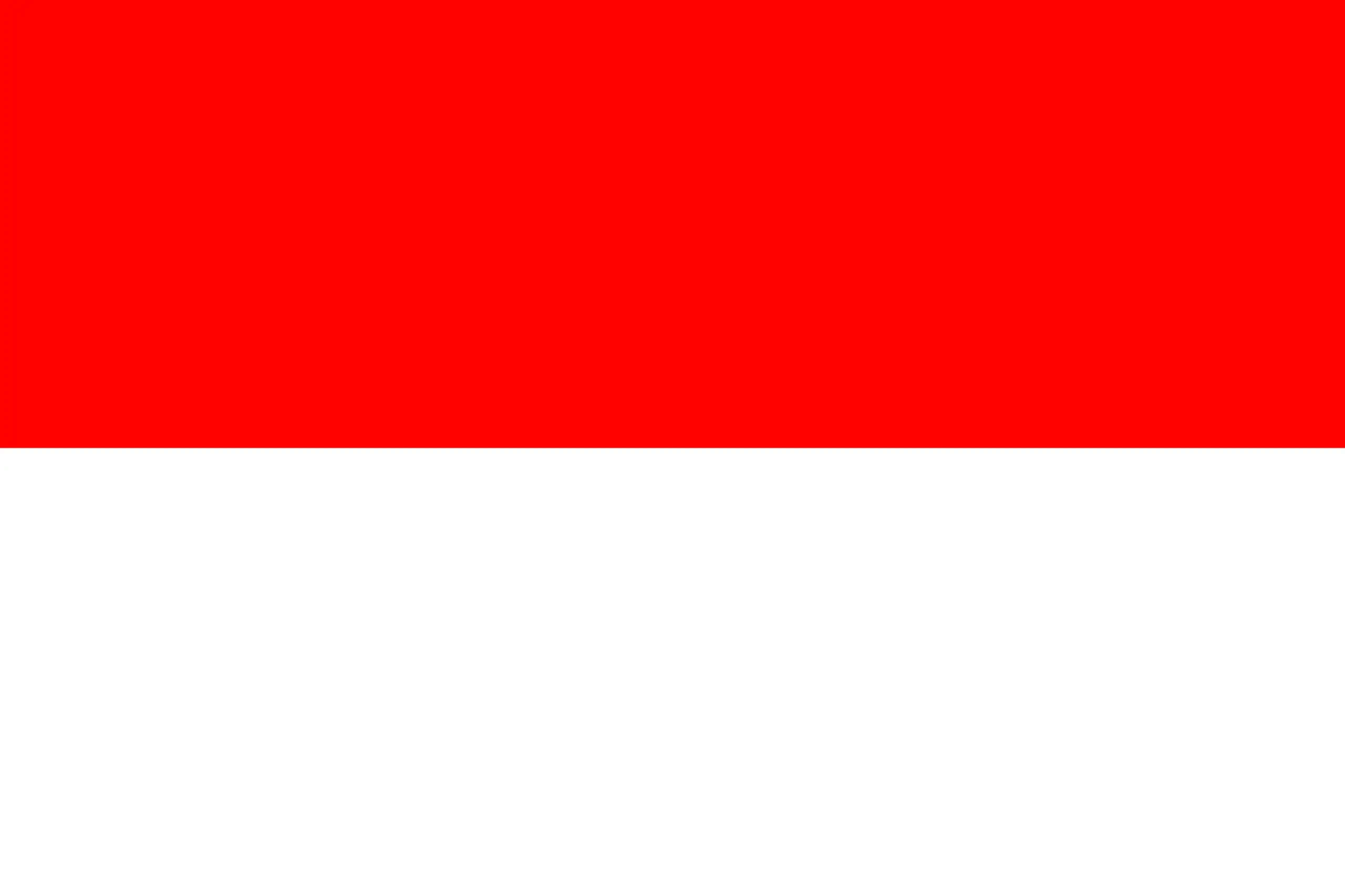 Indonesia national flag for Citation Builder Pro country page